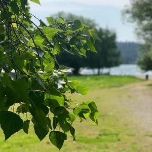 Meet your Posher, Carly